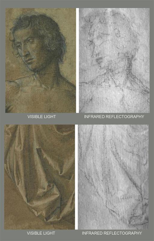 Drawing by Montagna details normal illumination and IRR comparison