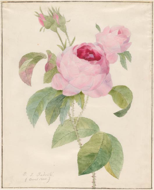 Pinceau Peinture Mur Papier Outils Artistiques Illustration Stock -  Illustration du dessin, rose: 278584819
