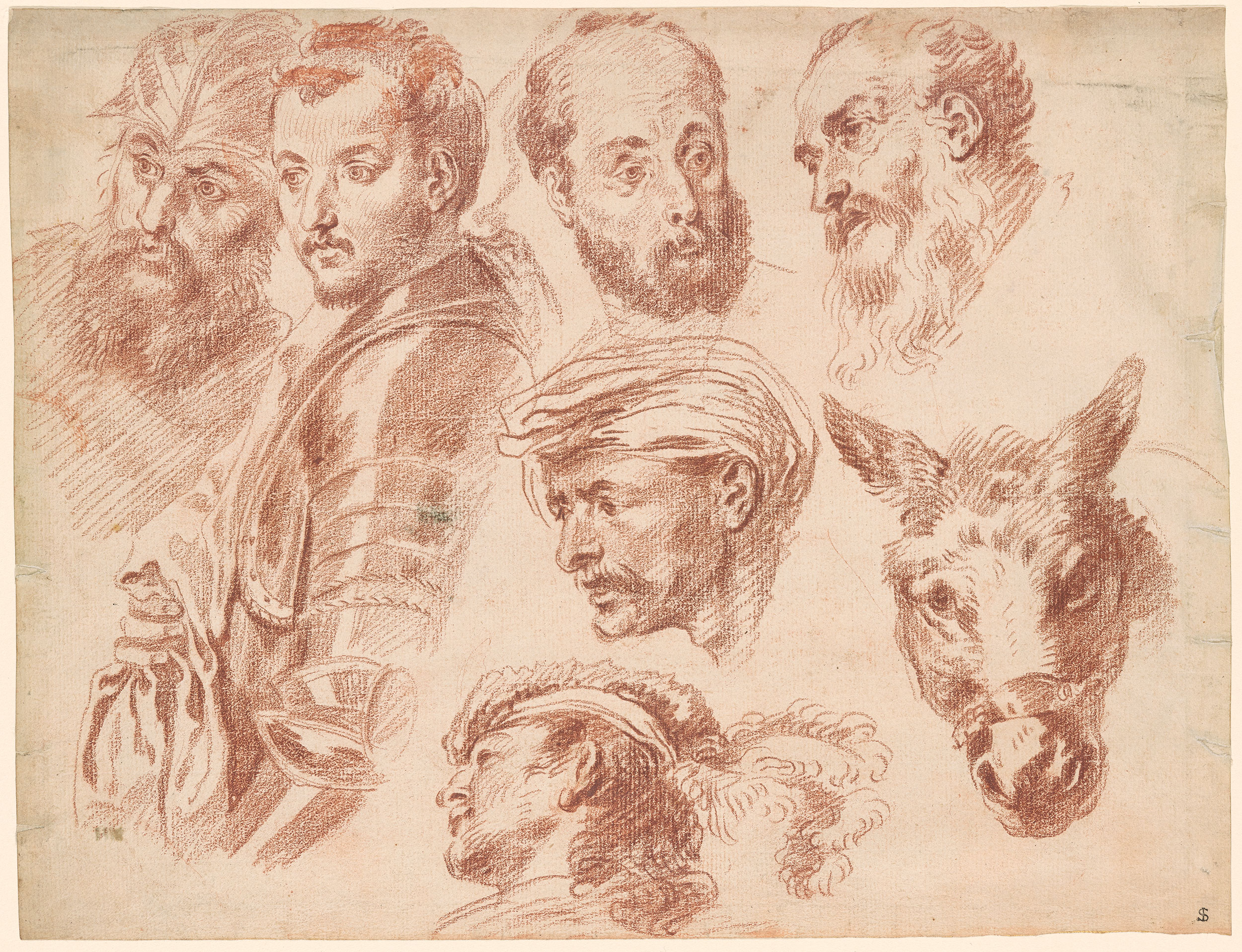Antoine Watteau Sketches of Heads, and a Donkey Drawings Online