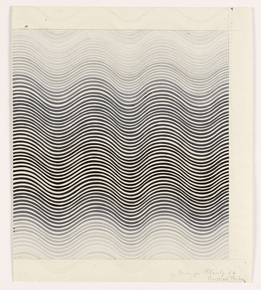 Bridget Riley Drawings From the Artist’s Studio The Library