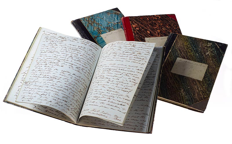 Image of Thoreau journals