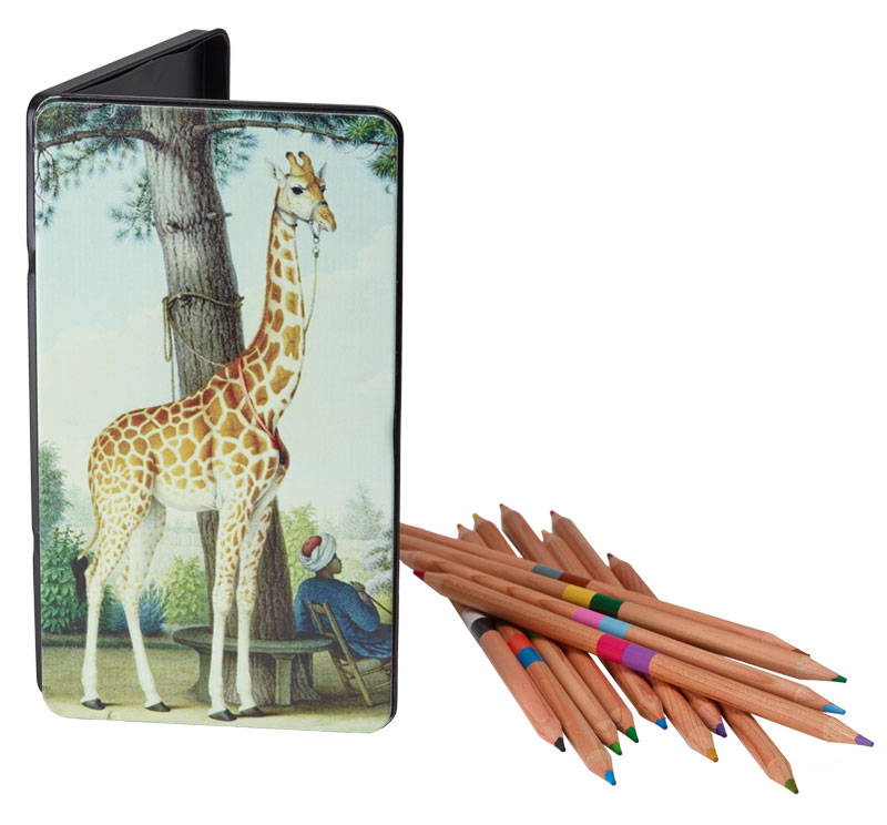 Study of the Giraffe Colored Pencil Set | The Morgan Shop | The Morgan ...