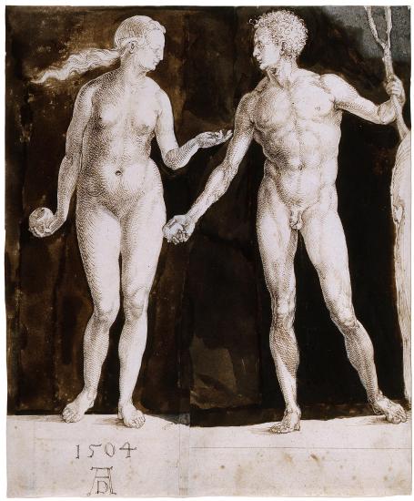 Adam and Eve Albrecht D rer The Morgan Library Museum